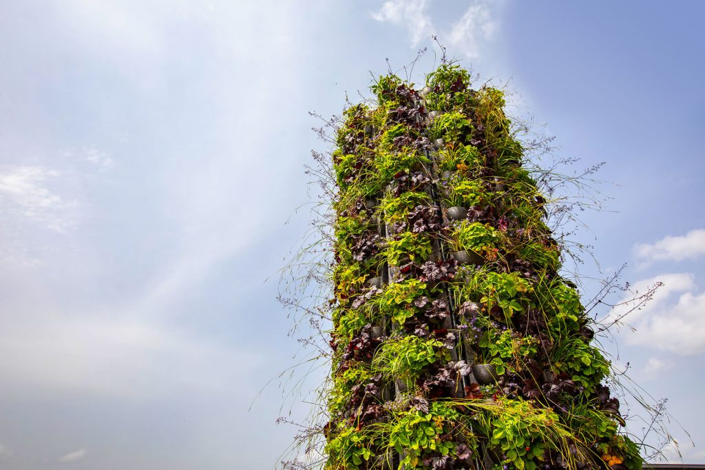 Green Tower Fulda